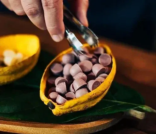 chocolate-de-cacau