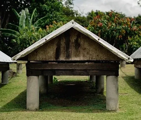 fazenda-de-cacau (2)